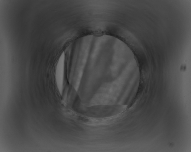 X0000095540037200801041319