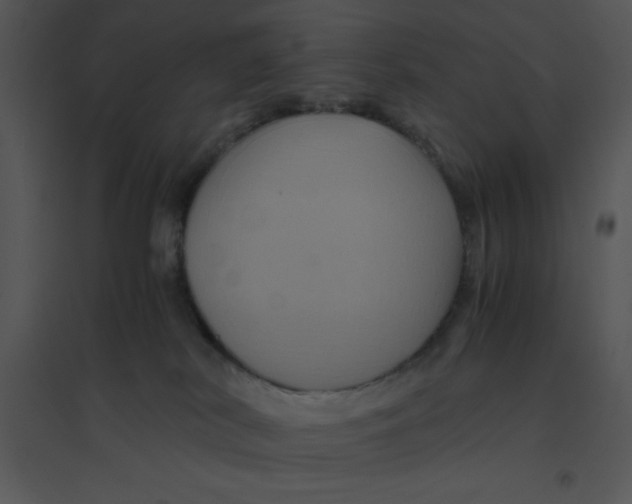 X0000095540038200801041319