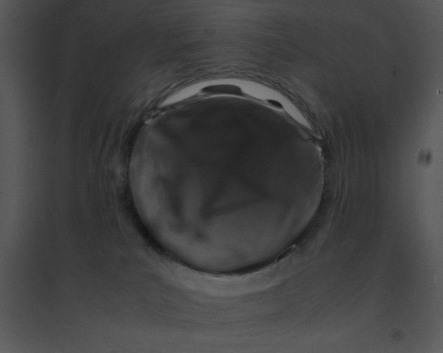 X0000095540039200801041319