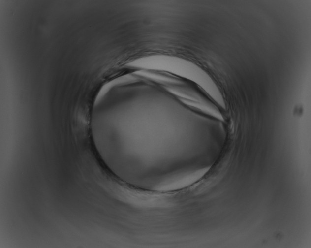 X0000095540040200801041319