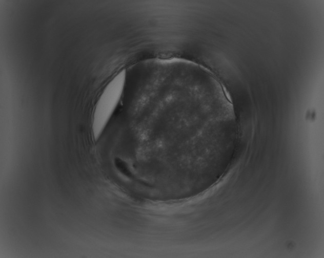 X0000095540041200801041319