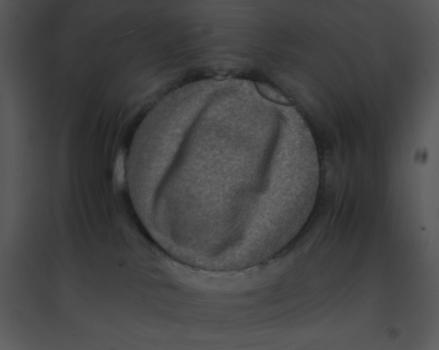 X0000095540042200801041319