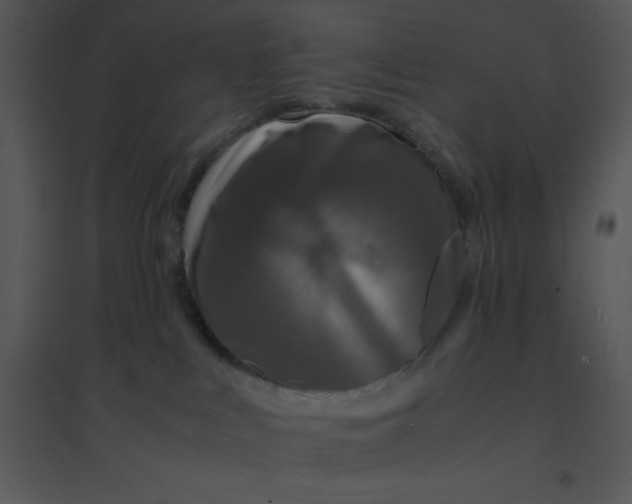 X0000095540043200801041319