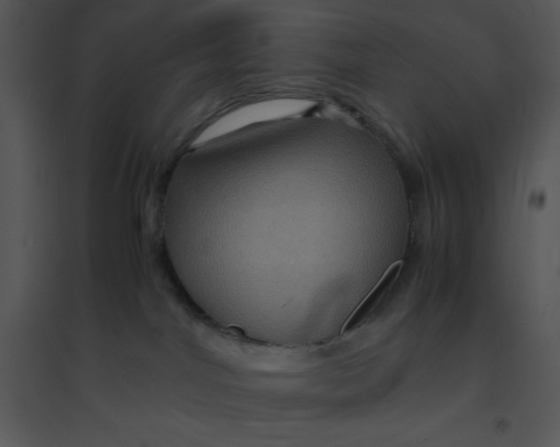 X0000095540044200801041319