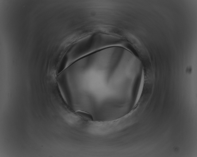 X0000095540045200801041319