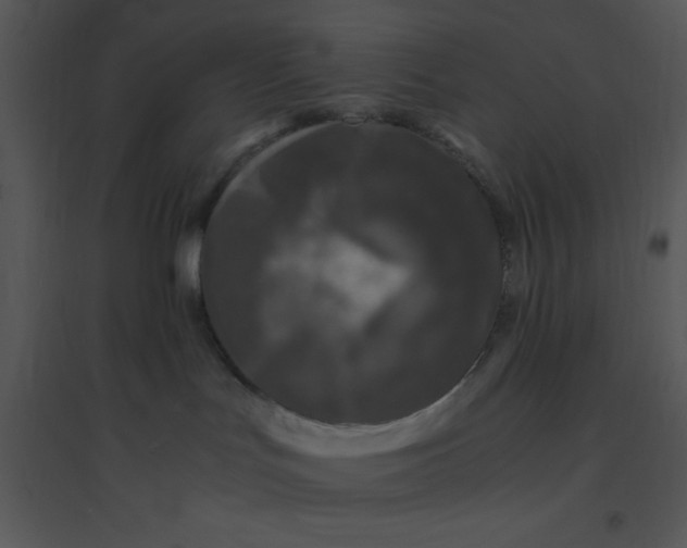 X0000095540047200801041319