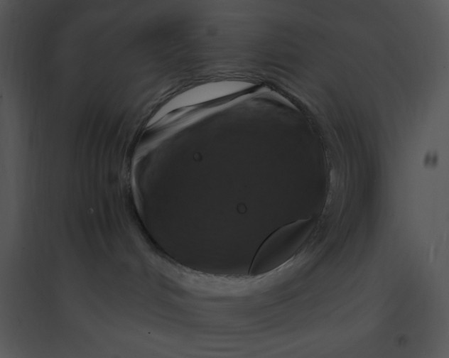 X0000095540048200801041318