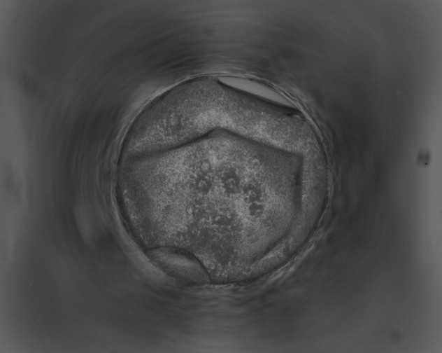 X0000095540049200801041318