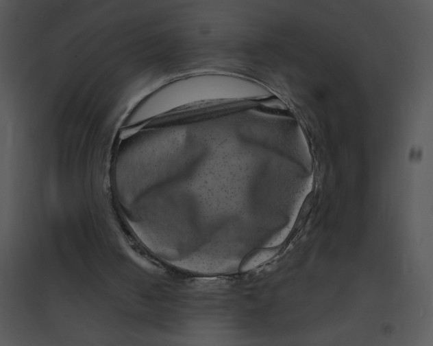 X0000095540050200801041318