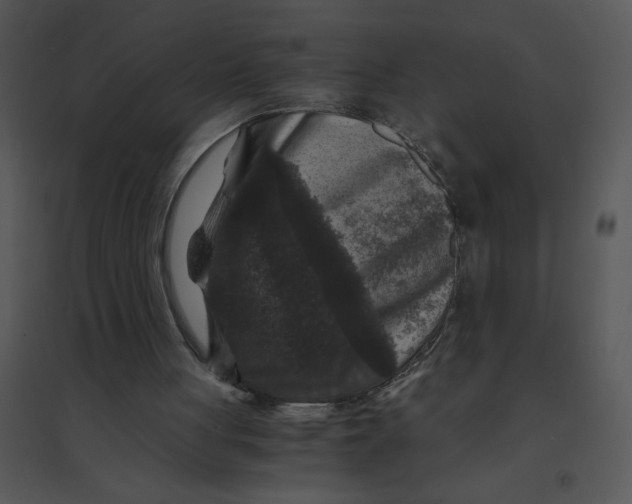 X0000095540051200801041318