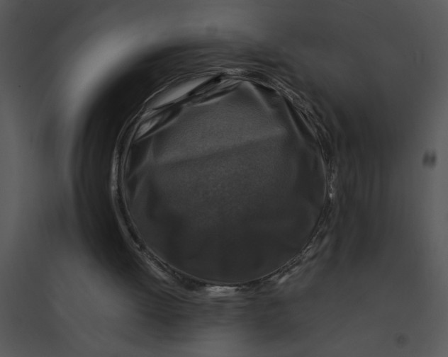 X0000095540052200801041318