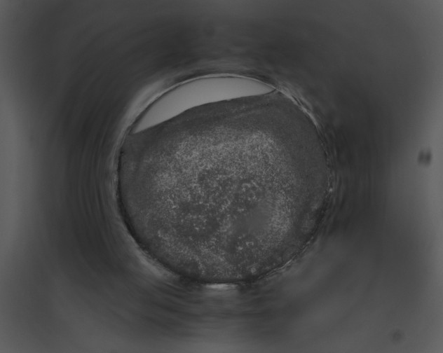 X0000095540053200801041318