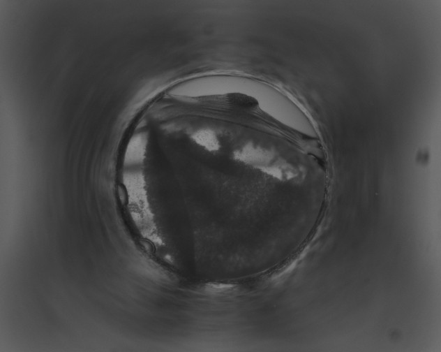 X0000095540055200801041318