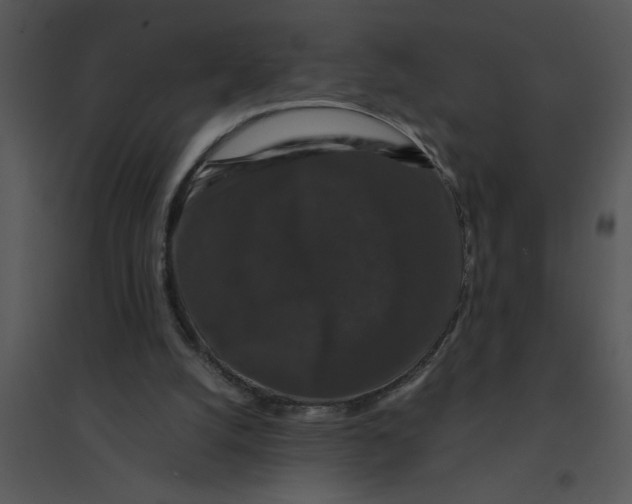 X0000095540056200801041318