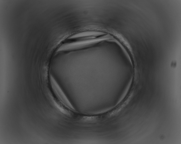 X0000095540057200801041318