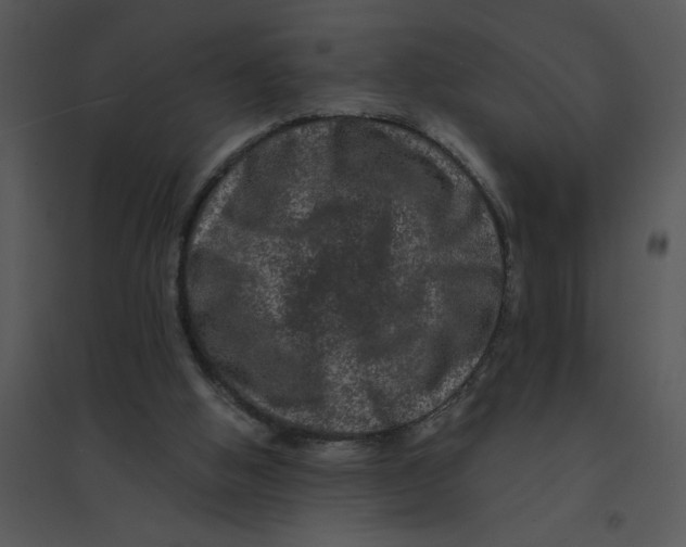 X0000095540058200801041318