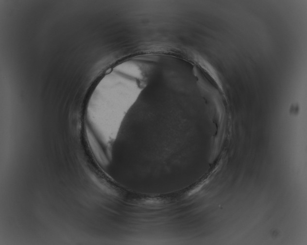 X0000095540059200801041318