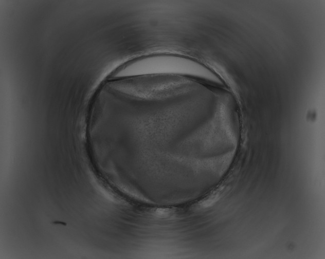 X0000095540060200801041318