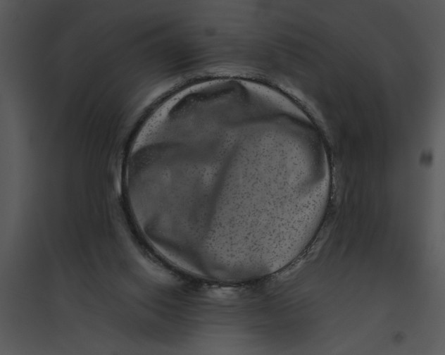 X0000095540062200801041318