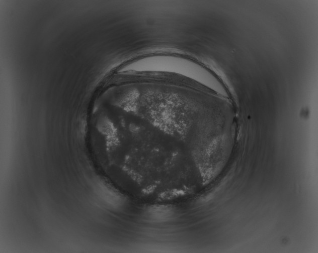 X0000095540063200801041318