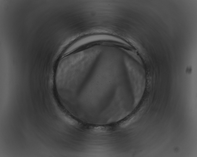 X0000095540064200801041318