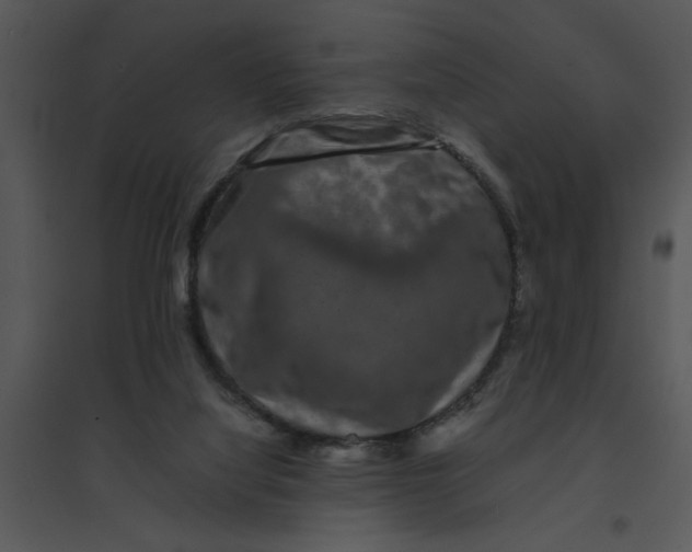 X0000095540068200801041318