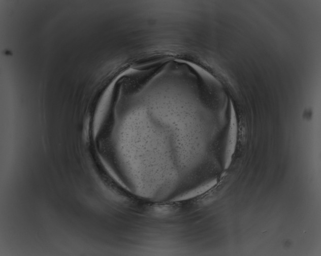 X0000095540070200801041318