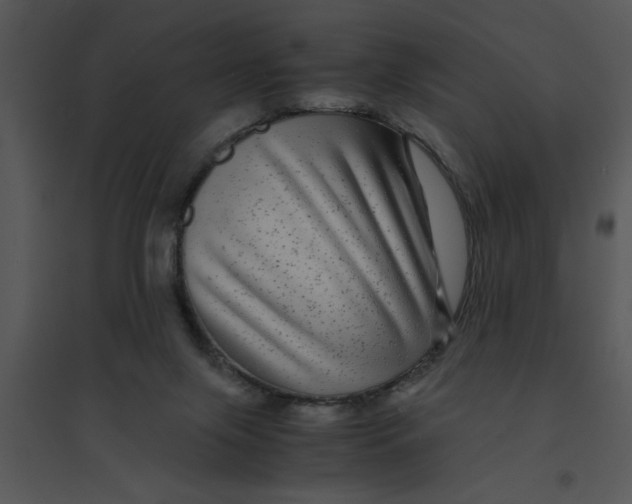 X0000095540071200801041318