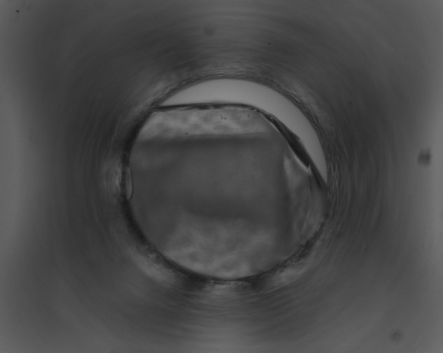 X0000095540072200801041318