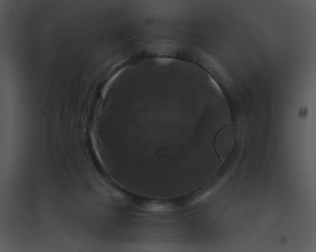 X0000095540073200801041318