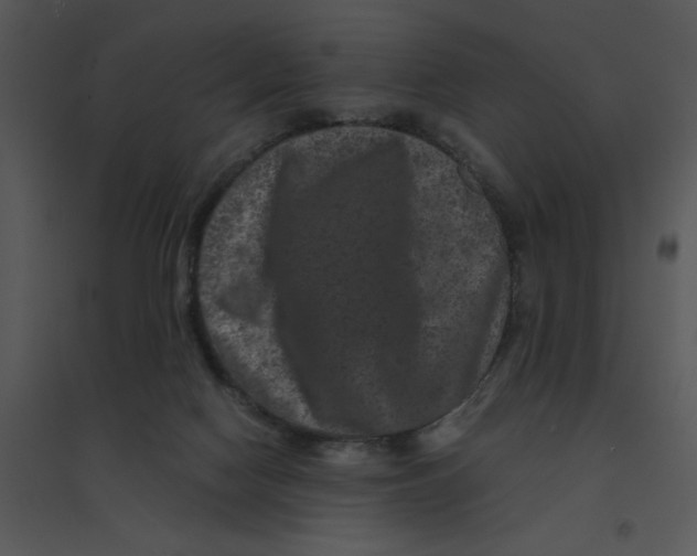 X0000095540074200801041318