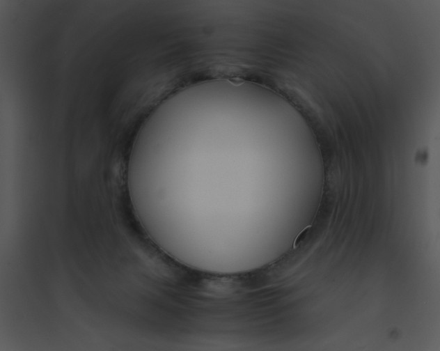 X0000095540079200801041318