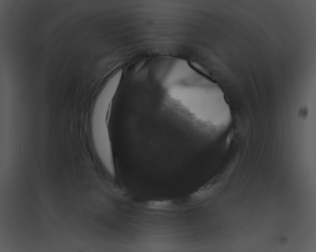 X0000095540080200801041318