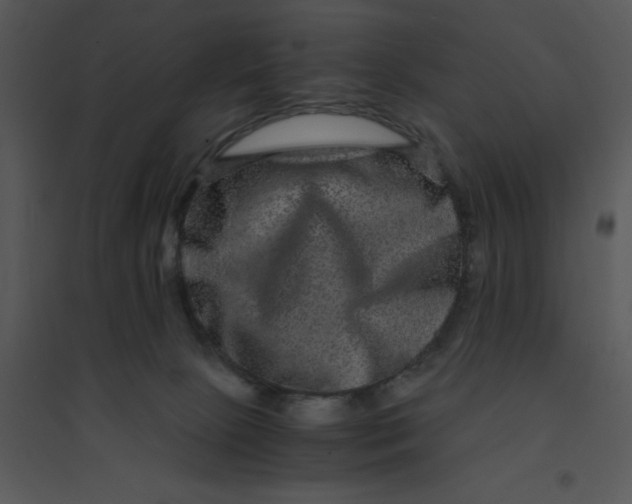 X0000095540081200801041318