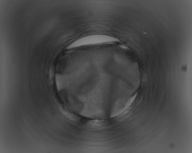 X0000095540082200801041318