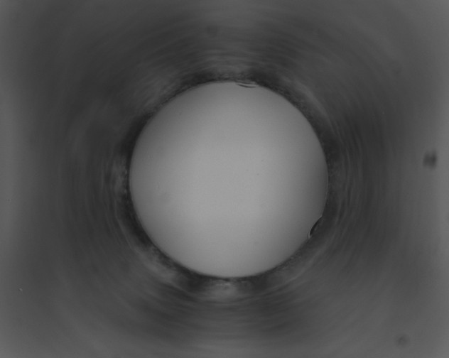 X0000095540083200801041318