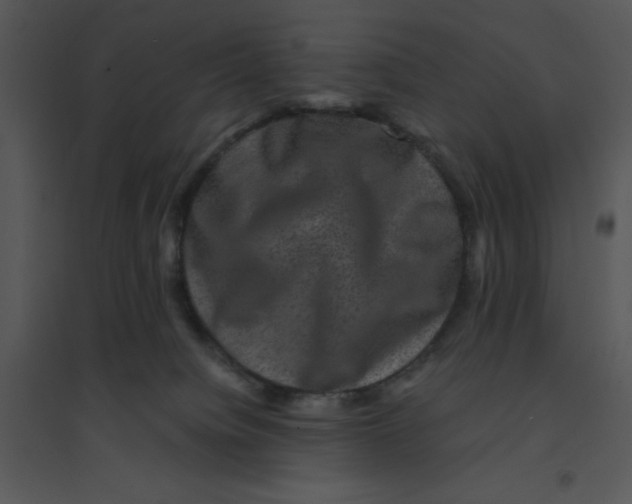 X0000095540084200801041318