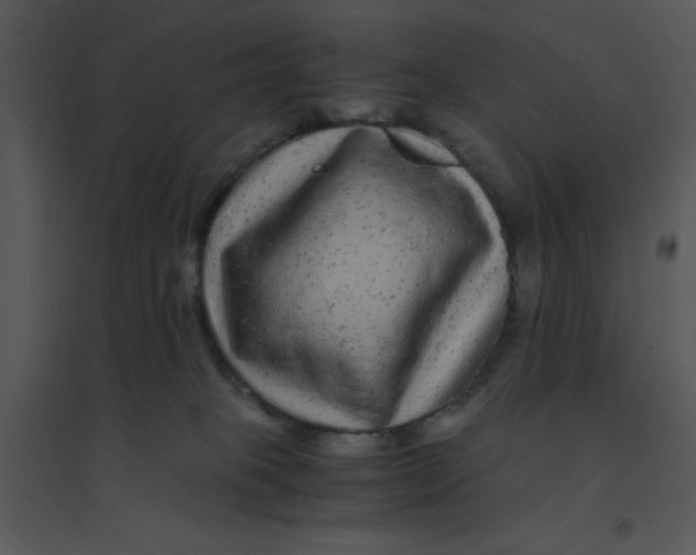 X0000095540085200801041318