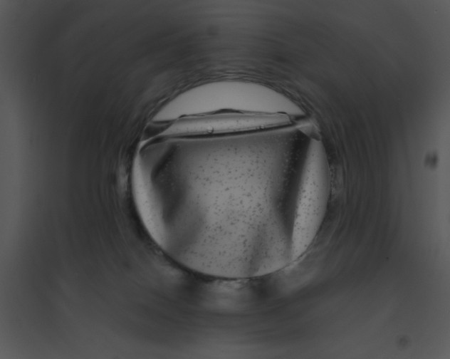 X0000095540086200801041318