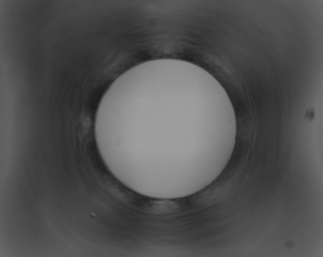 X0000095540087200801041318