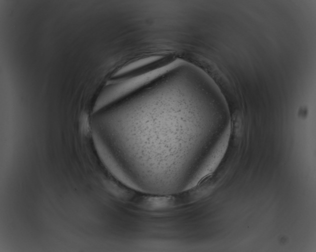 X0000095540089200801041318