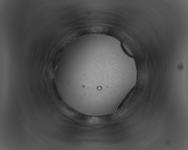 X0000095540091200801041318