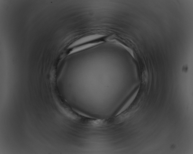 X0000095540092200801041318