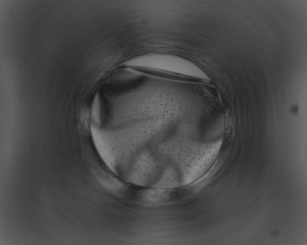 X0000095540094200801041318