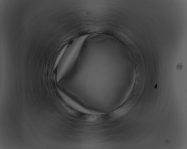 X0000095540096200801041318