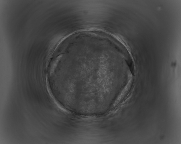 X0000095540097200801041318