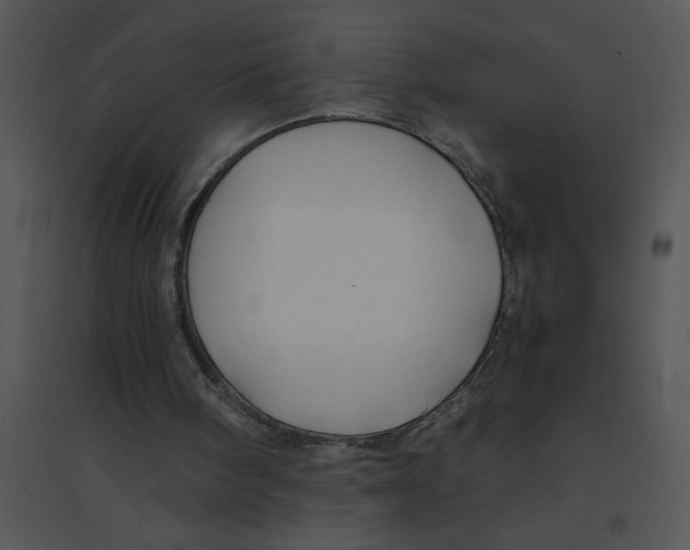 X0000095540098200801041318