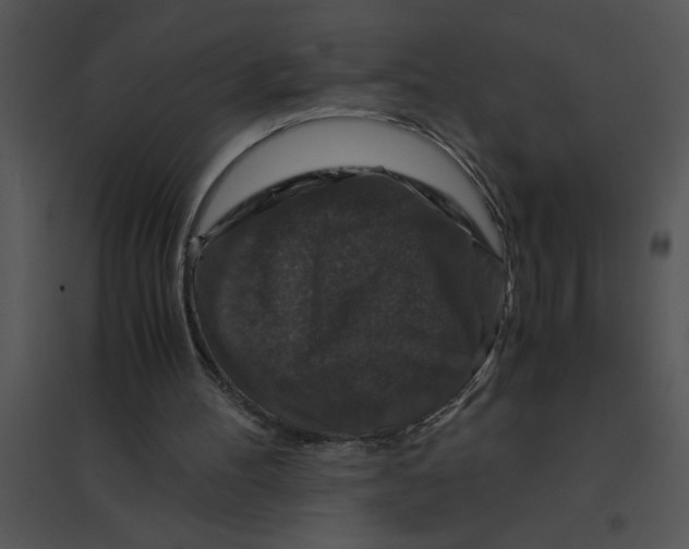 X0000095540100200801041318