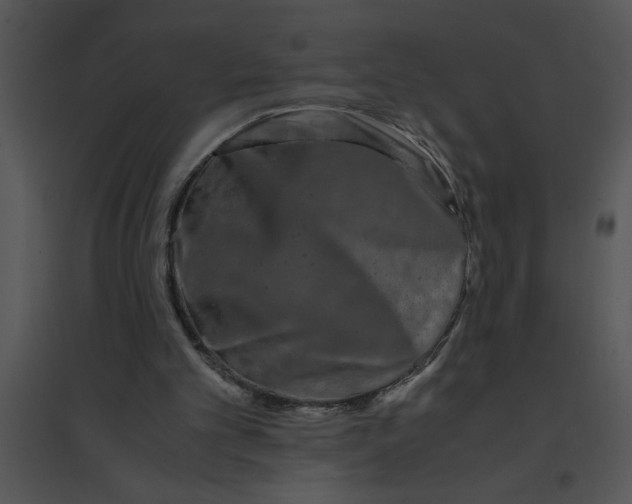 X0000095540101200801041318