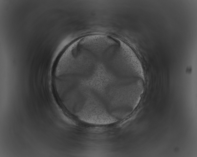 X0000095540102200801041318